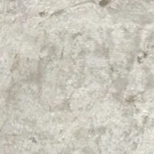Shimmer Pearl Shimmer Pearl