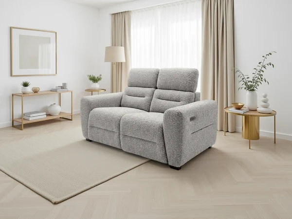 Tokyo Electric Recliner, view 4