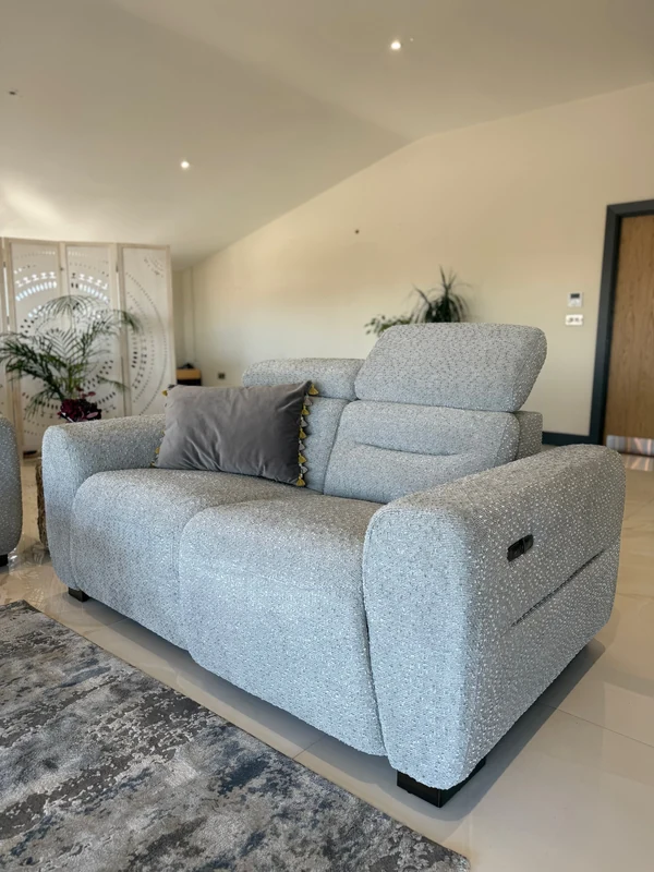 Tokyo Electric Recliner, view 6
