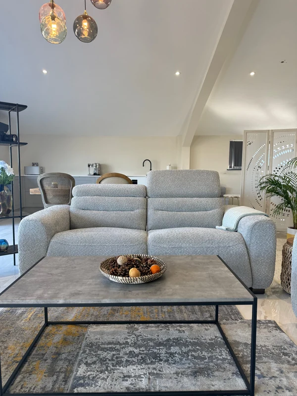 Tokyo Electric Recliner, view 2