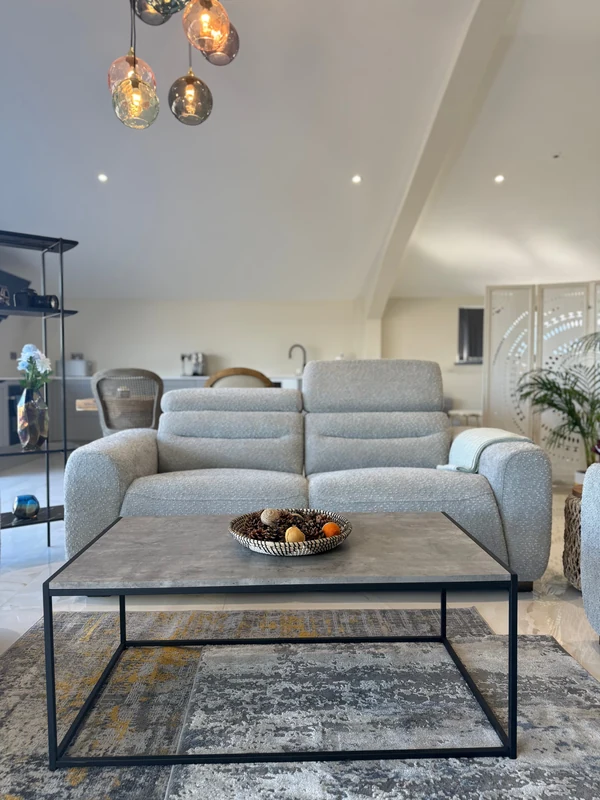 Tokyo Electric Recliner, view 3